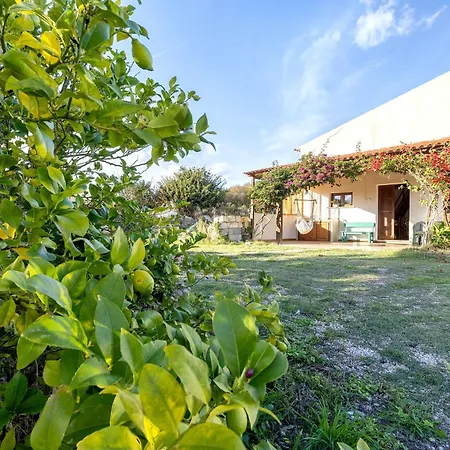 Domo Clelia Tatil Evi Nulvi